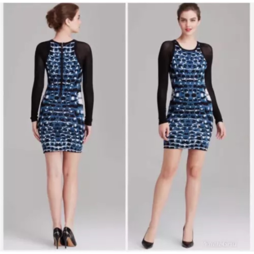 Parker Hartley Knit Bodycon Mini Dress with Black Mesh Long Sleeves Size Medium
